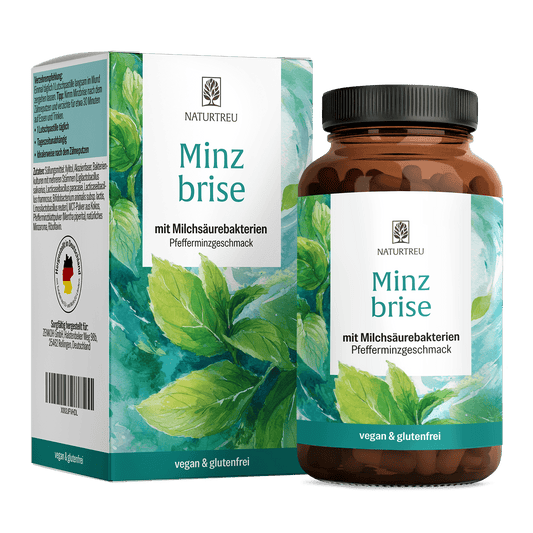 Minzbrise Milchsaeurebakterien Titelbild