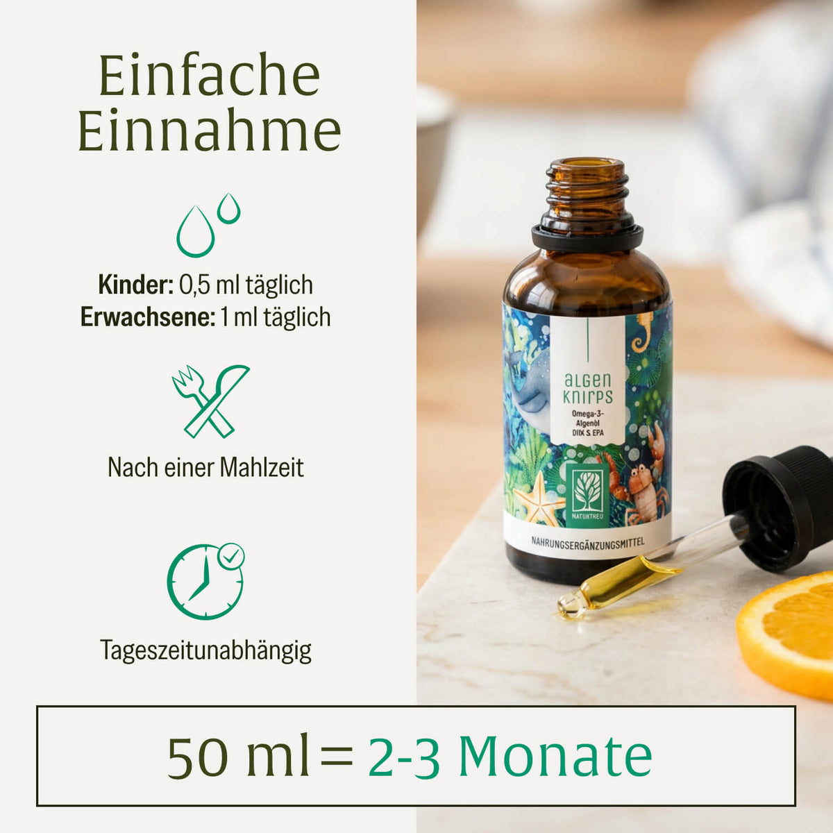 Onlineshop Creative Set Algenknirps Einnahme