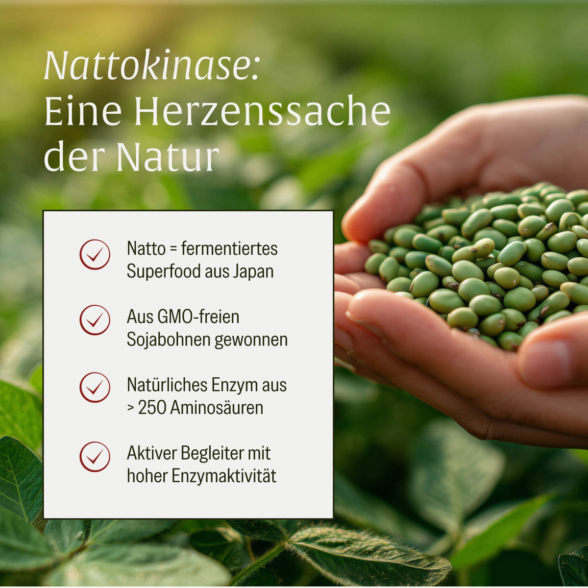 Blutfluss Creatives Onlineshop Nattokinase