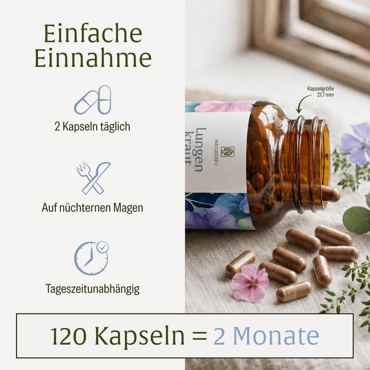Lungenkraut Einnahme