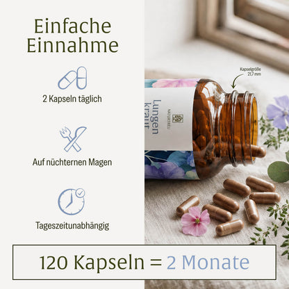Lungenkraut Einnahme