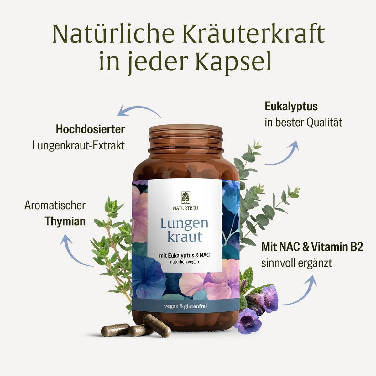 Lungenkraut Onlineshop Inhaltsstoffe