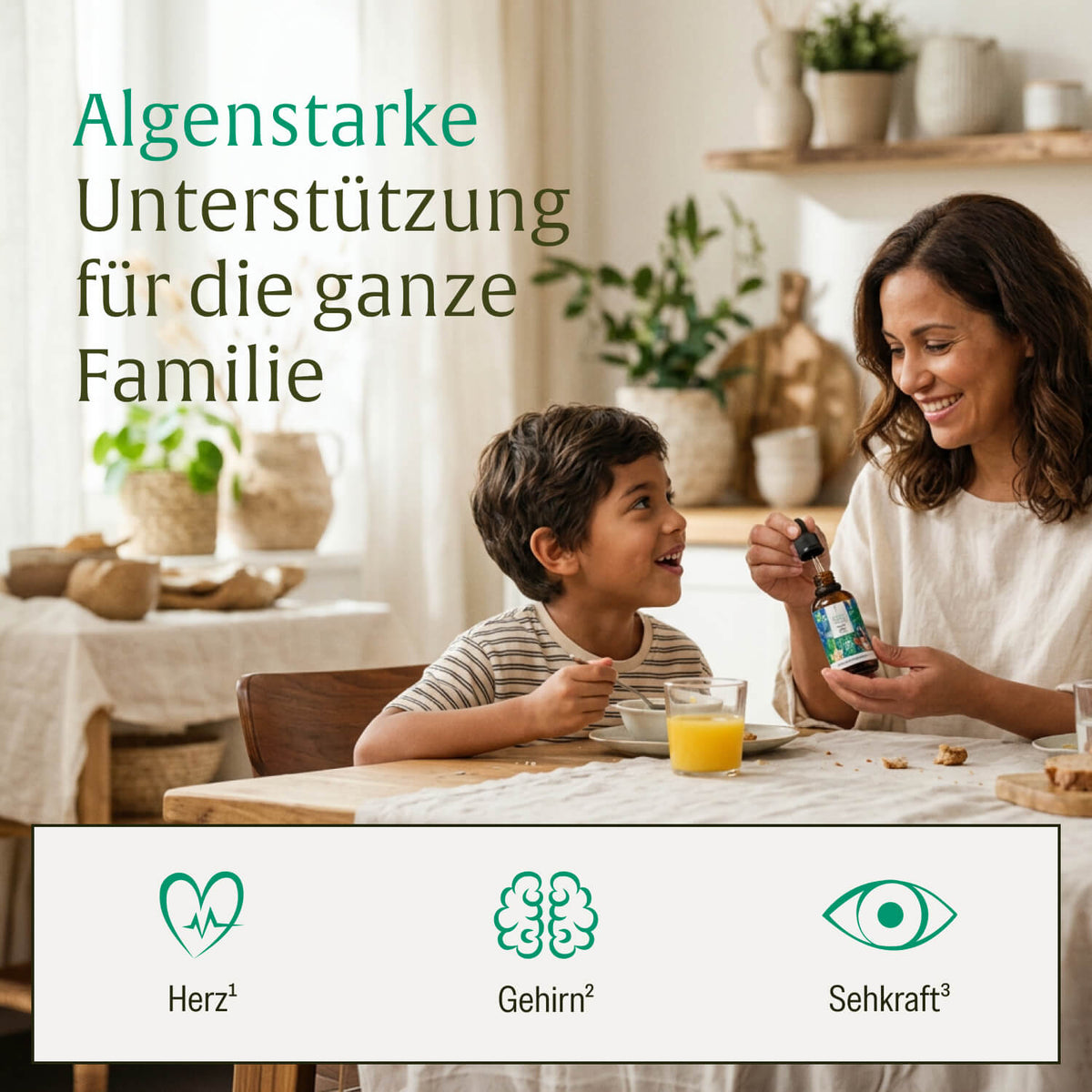 Onlineshop Creative Set Algenknirps Wirkung