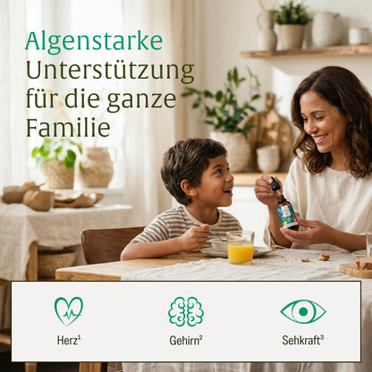 Onlineshop Creative Set Algenknirps Wirkung