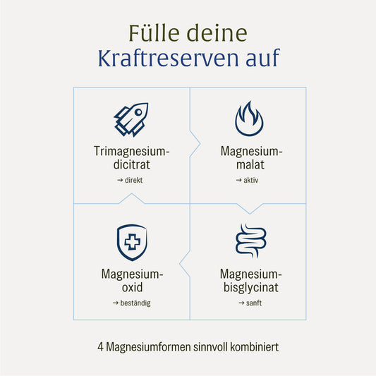 Veranschaulichung als Puzzle: Der Kraftreserve Magnesium Komplex mit 4 Magnesiumformen, die sich optimal ergänzen