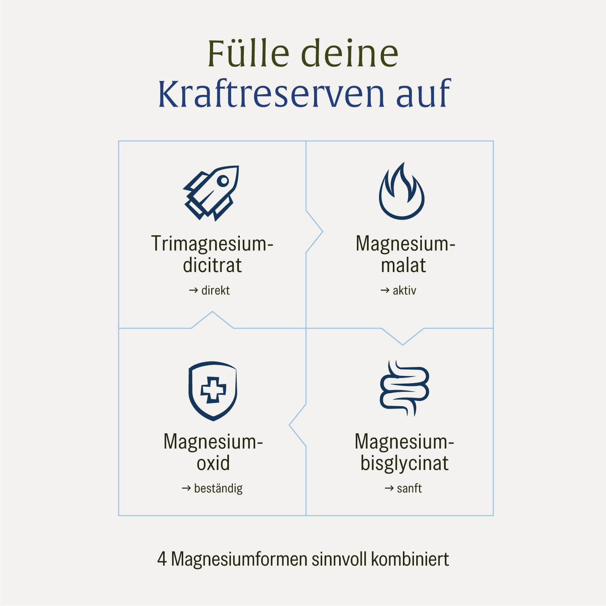 Veranschaulichung als Puzzle: Der Kraftreserve Magnesium Komplex mit 4 Magnesiumformen, die sich optimal ergänzen 