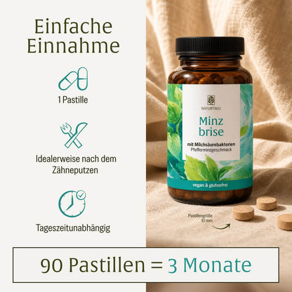 Minzbrise Creatives Onlineshop Einfache Einnahme