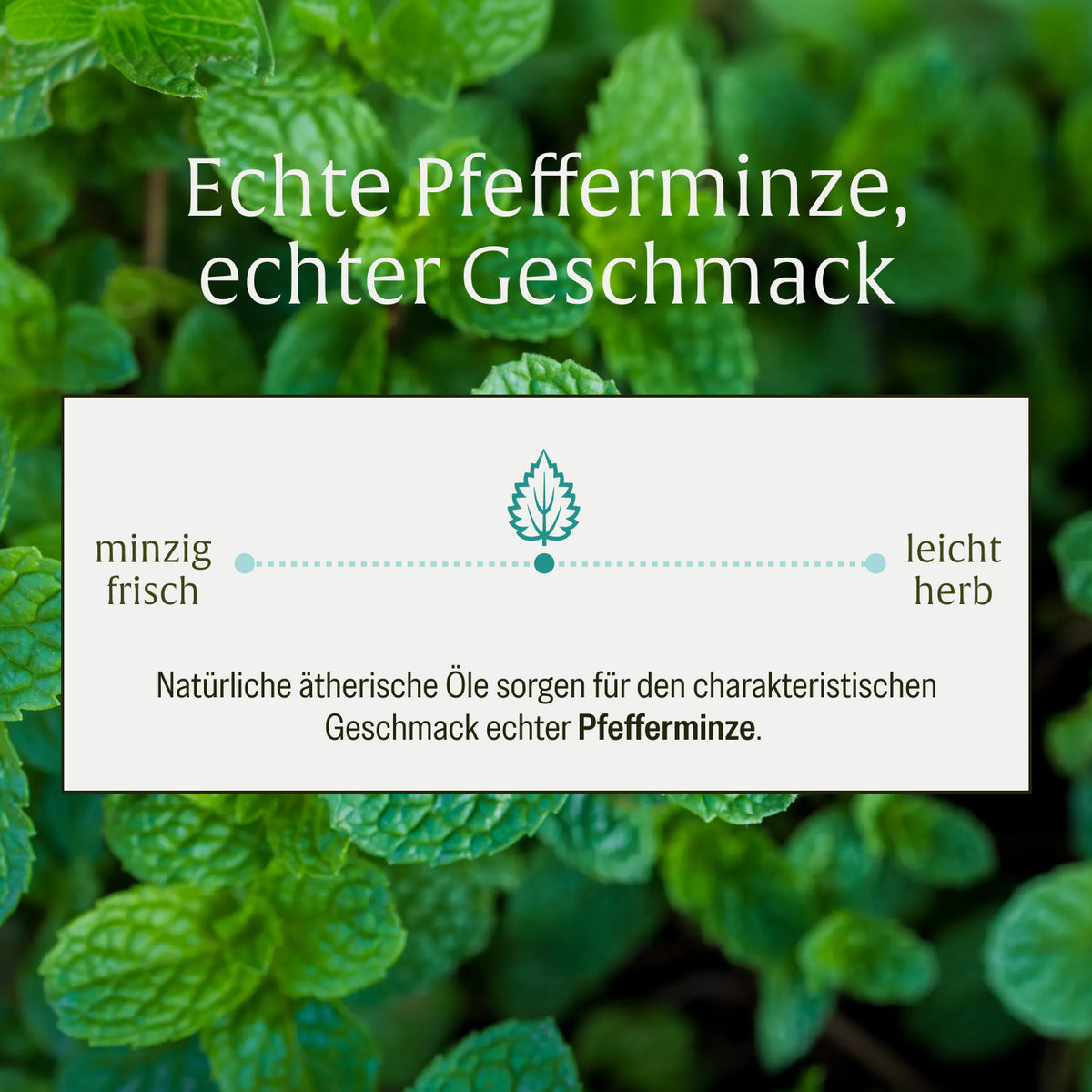 Minzbrise Creatives Onlineshop Geschmack