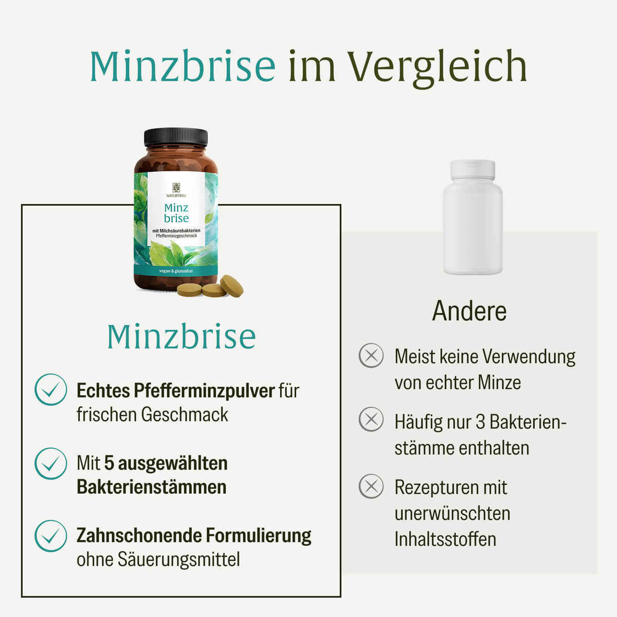 Minzbrise Creatives Onlineshop Im Vergleich
