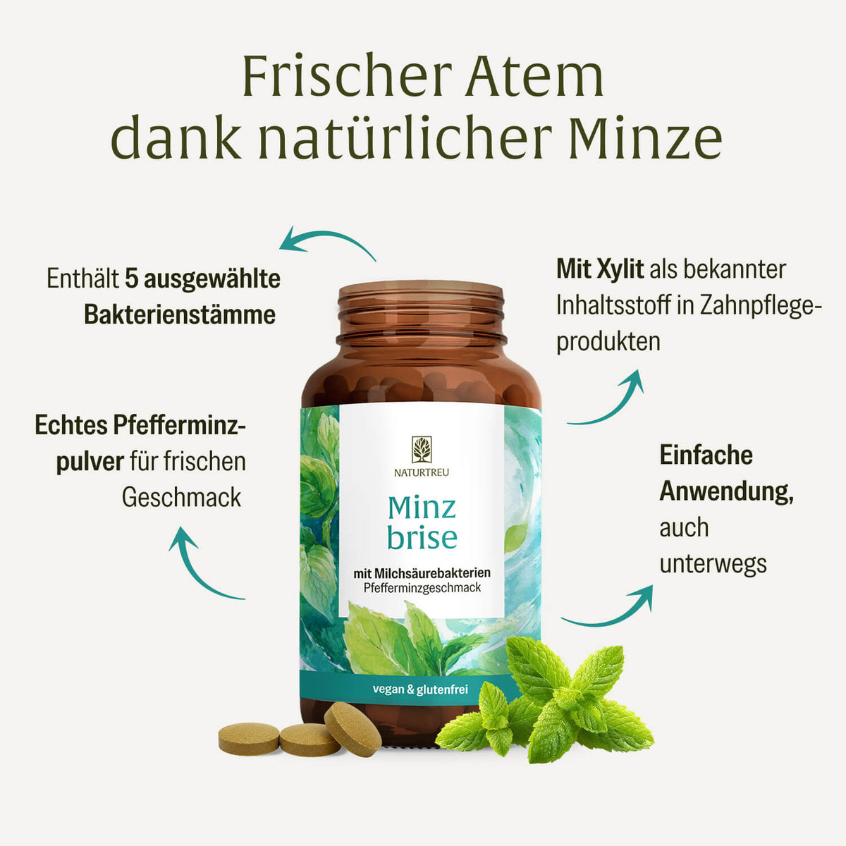 Minzbrise Creatives Onlineshop Inhaltsstoffe