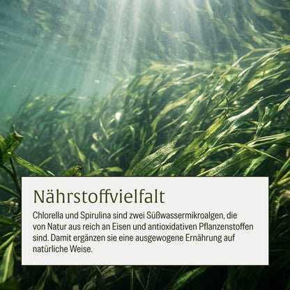 Algenduo Bio Chlorella Wirkung