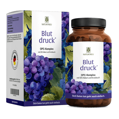 Blutdruck Titelbild