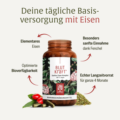 Blutkraft Eisen-Komplex Hochwertige Inhaltsstoffe