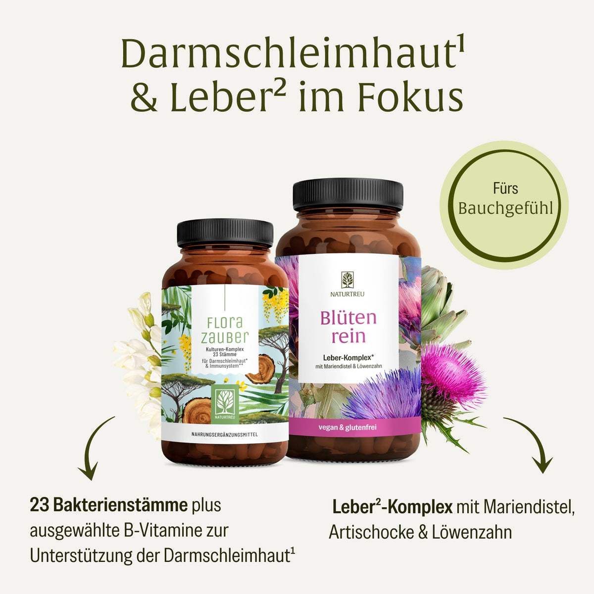 Bundle Callout Creatives Gutes-Bauchgefuehl-Sparpaket