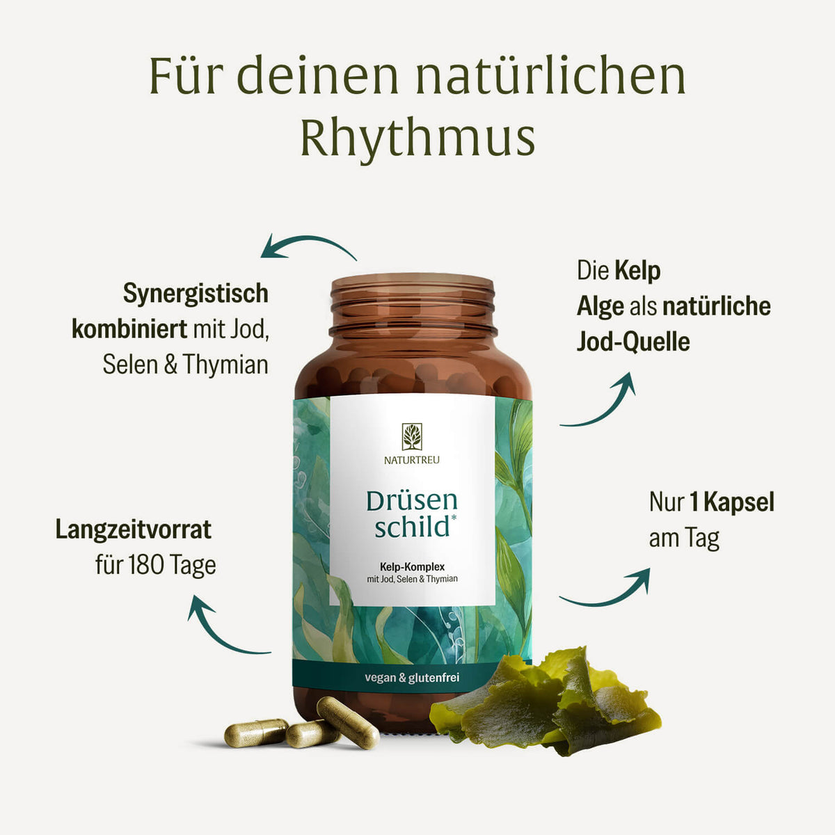 Drüsenschild kelp komplex jod Inhaltsstoffe