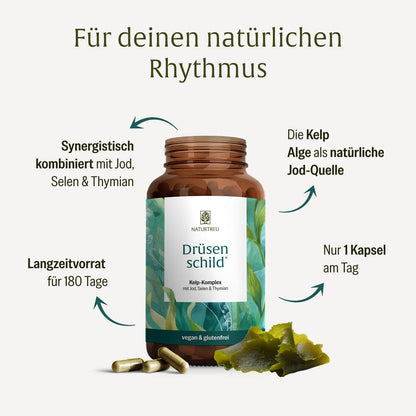 Drüsenschild kelp komplex jod Inhaltsstoffe