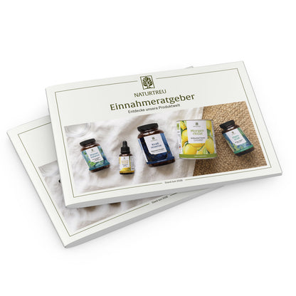 Starterpaket für Therapeuten & medizinische Experten: Einnahmeratgeber, Rezeptblock & mehr