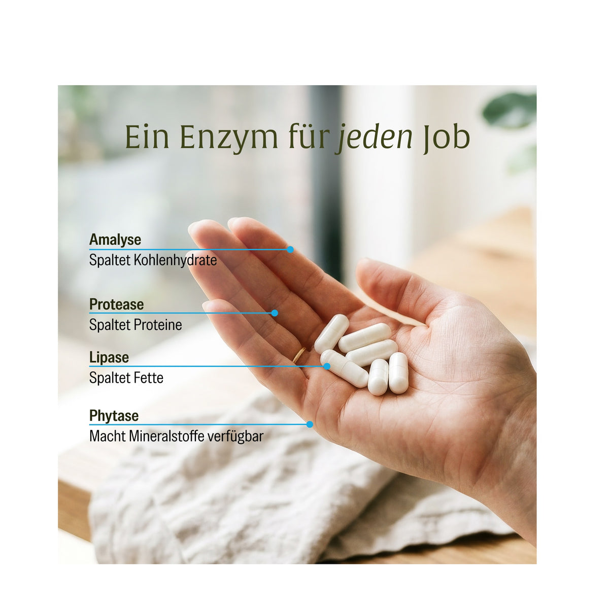 Enzymhelden Enzym-Komplex Moodbild 02