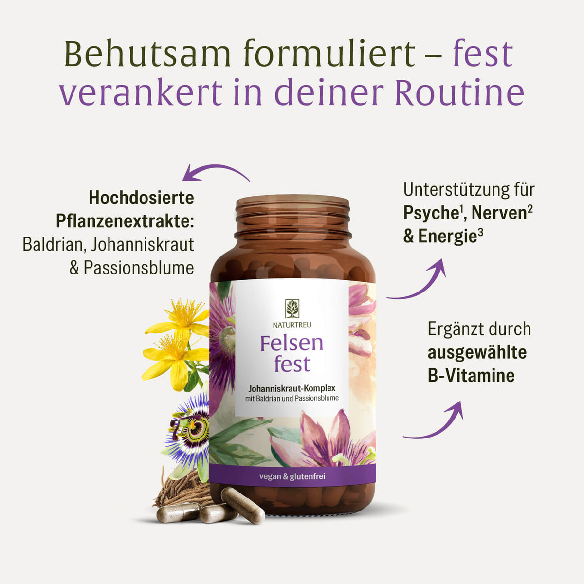 Felsenfest Passionsblume Baldrian Johanniskraut-Komplex Inhaltsstoffe