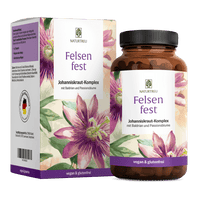 Felsenfest Passionsblume-Baldrian-Johanniskraut-Komplex Titelbild