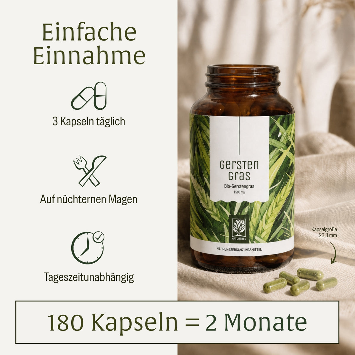 Gerstengras Creatives Onlineshop Einnahme