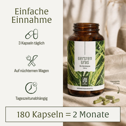 Gerstengras Creatives Onlineshop Einnahme