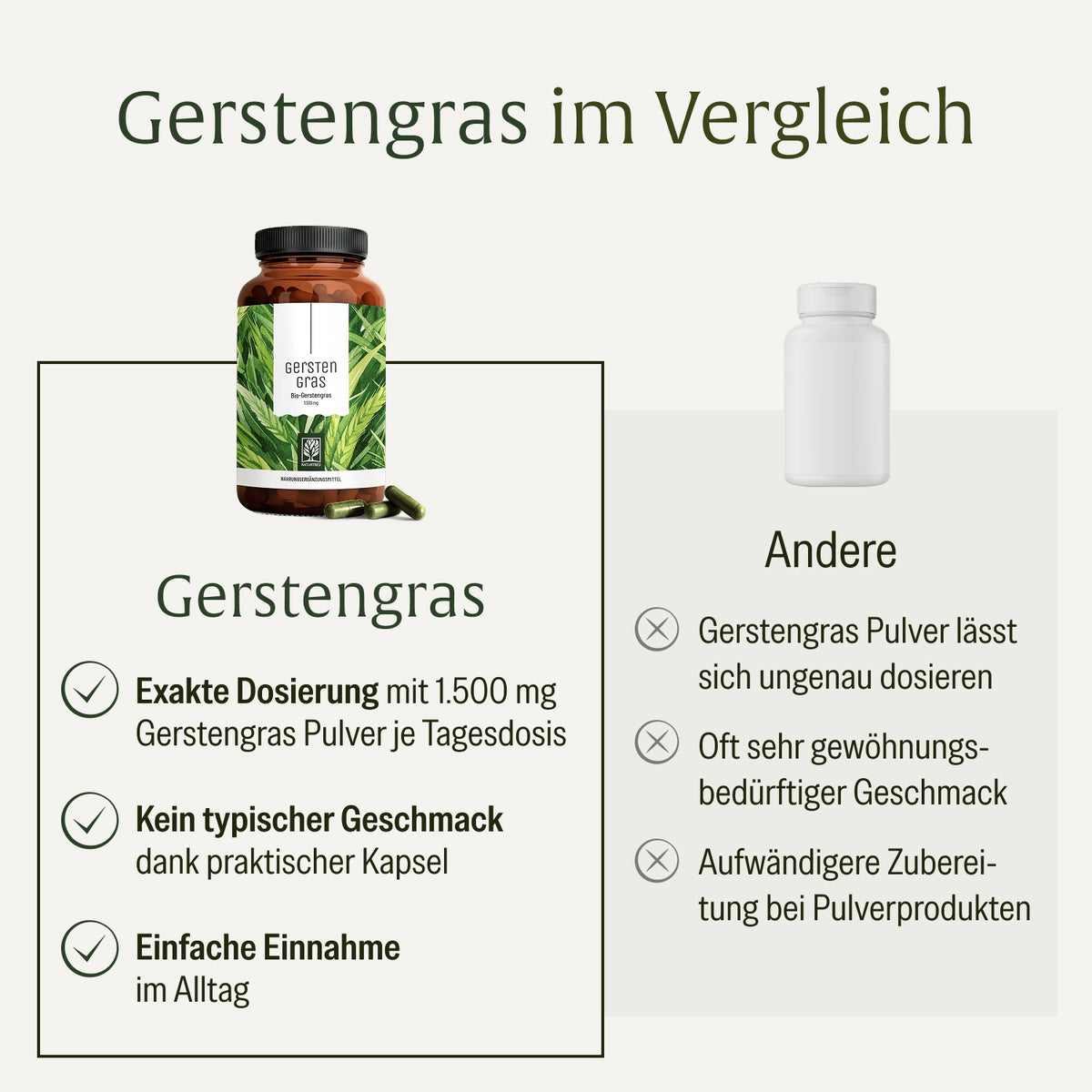 Gerstengras Creatives Onlineshop Vergleichstabelle