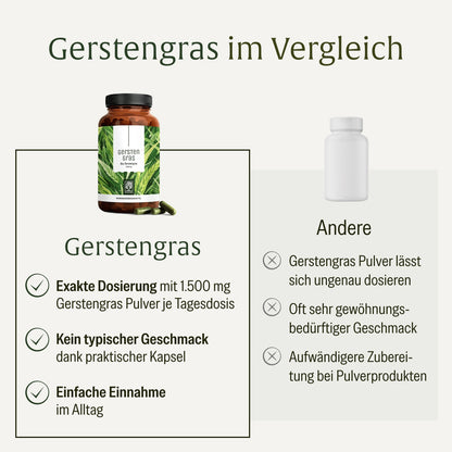 Gerstengras Creatives Onlineshop Vergleichstabelle