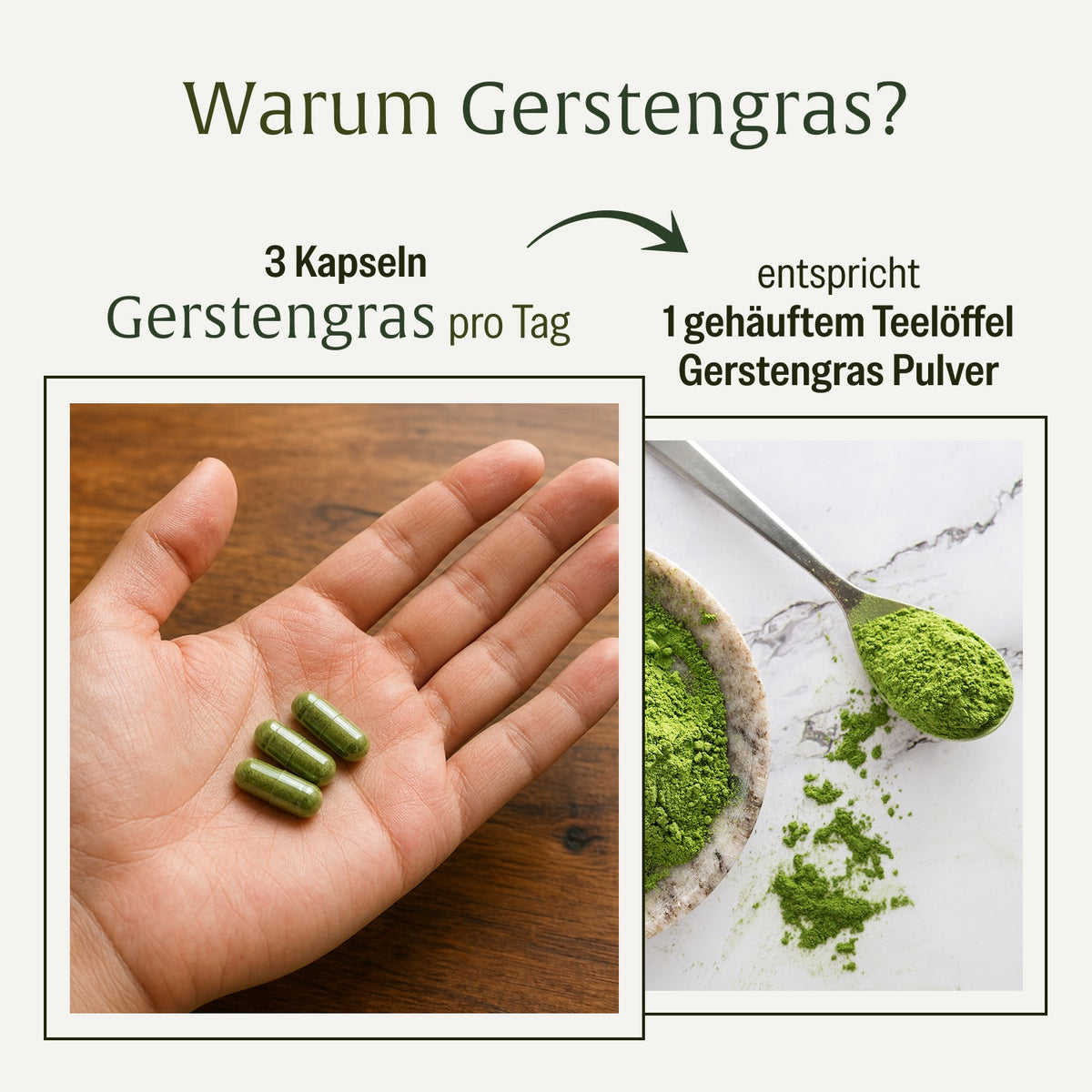 Gerstengras Creatives Onlineshop Warum