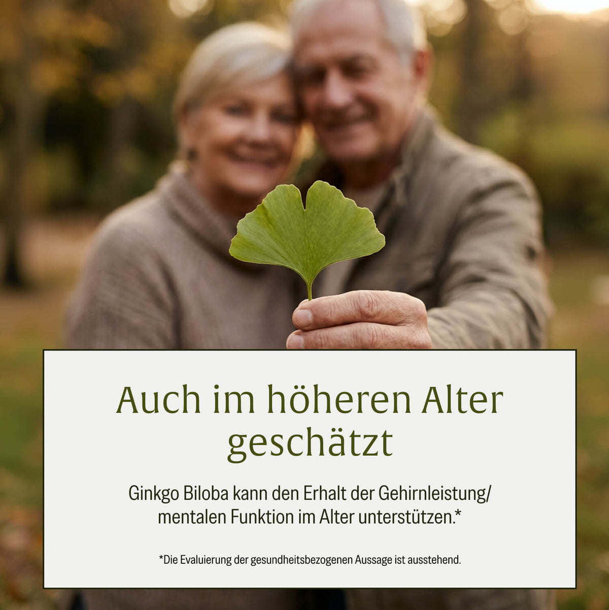 Gedankengut Löwenmähne-Brahmi Ginkgo-Cystein Cholin-B-Vitamine Moodbild