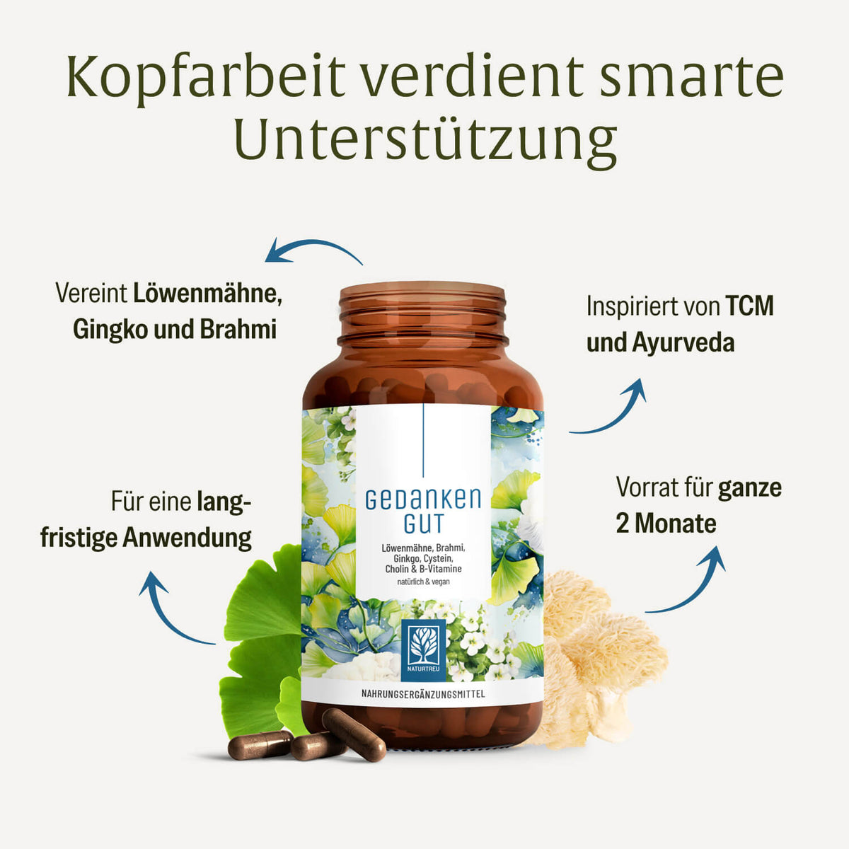 Gedankengut Loewenmaehne Brahmi Ginkgo Cystein Cholin-B-Vitamine Hochw Inhaltsstoffe DE