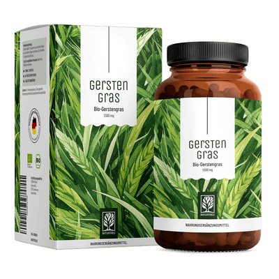 Gerstengras