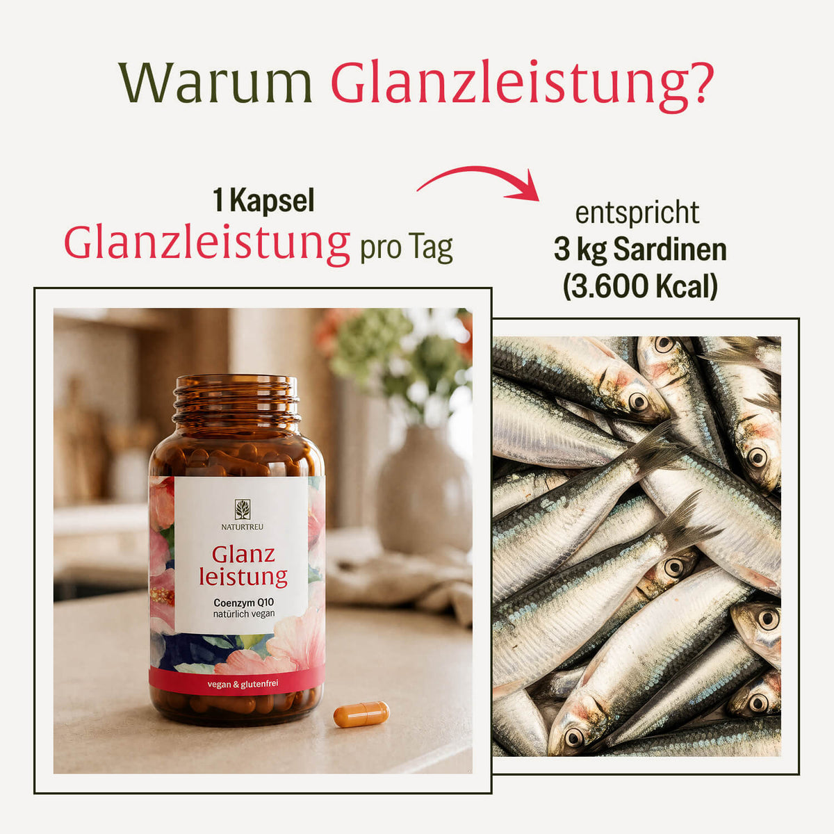 Glanzleistung Coenzym Q10 im Vergleich