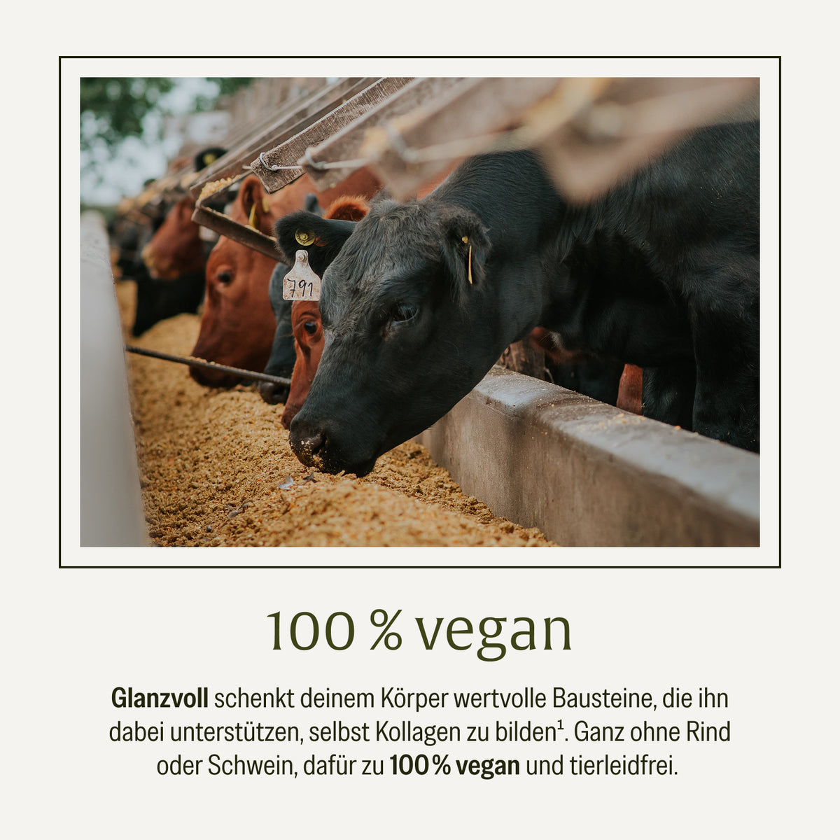 Glanzvoll Vegane-Kollagen-Bildungsunterstuetzung Vergleich 