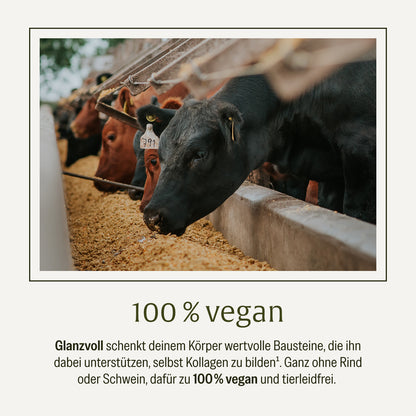 Glanzvoll Vegane-Kollagen-Bildungsunterstuetzung Vergleich 