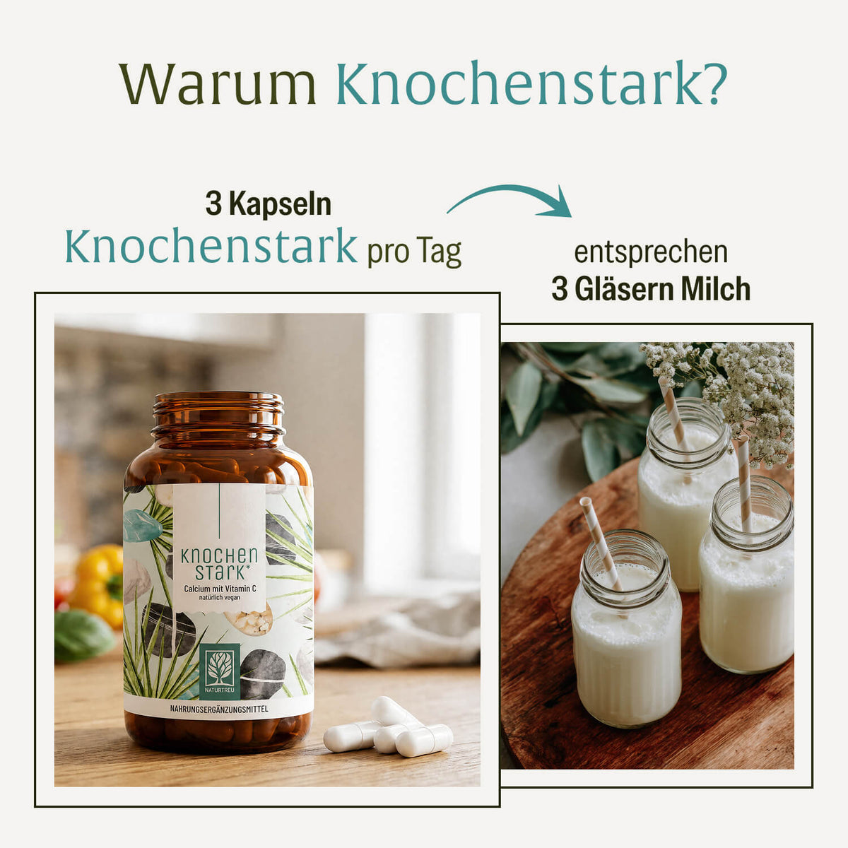 Knochenstark Calcium-Komplex Calcium Vergleich