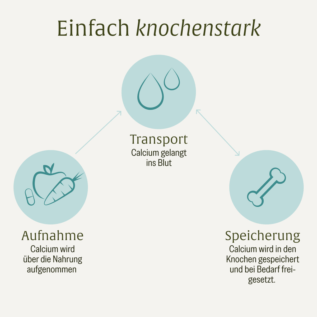 Knochenstark Calcium Vitamin C Moodbild Wirkung