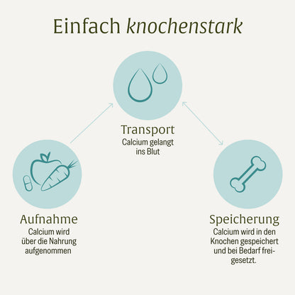 Knochenstark Calcium Vitamin C Moodbild Wirkung