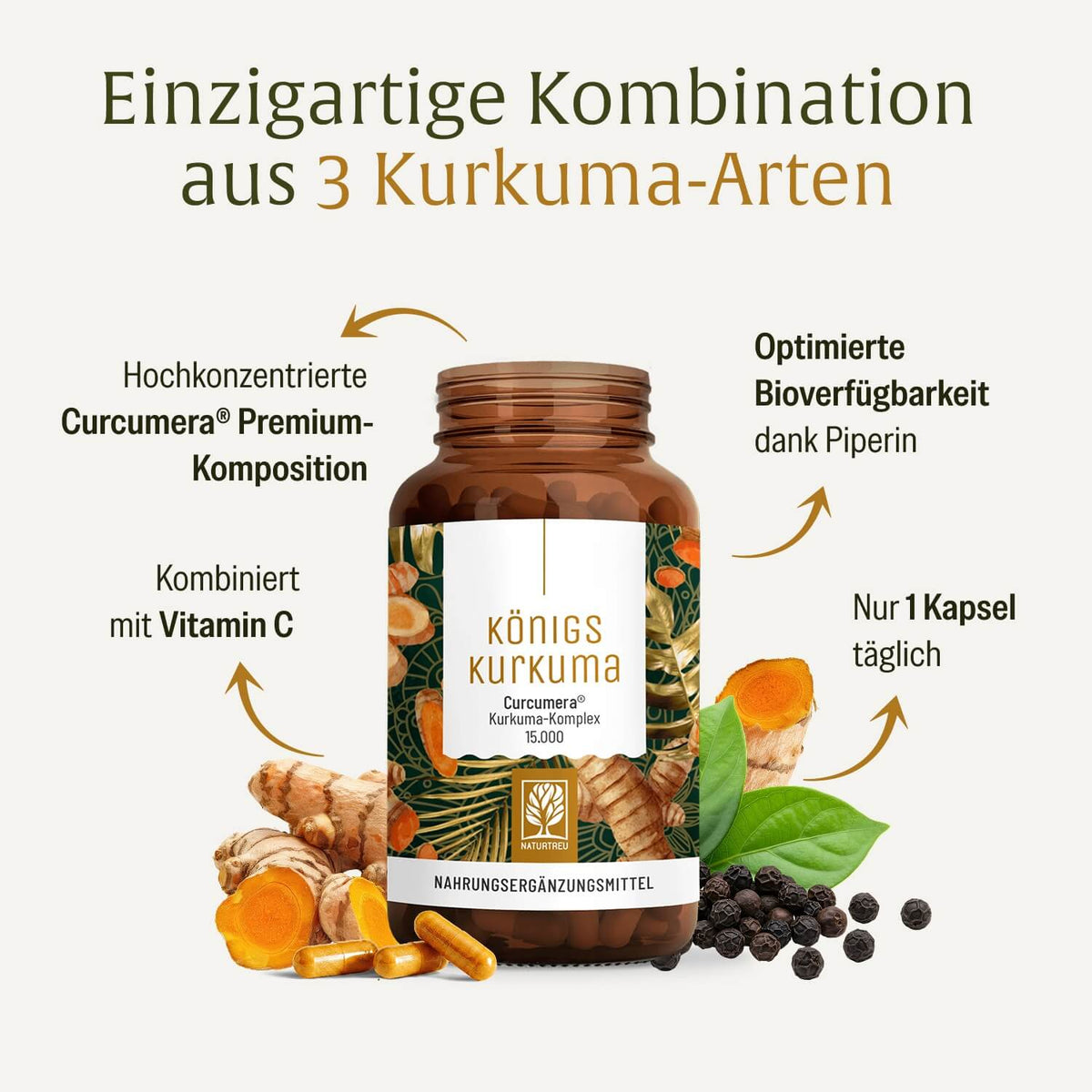 Koenigskurkuma Curcuma Komplex Onlineshop Inhaltsstoffe
