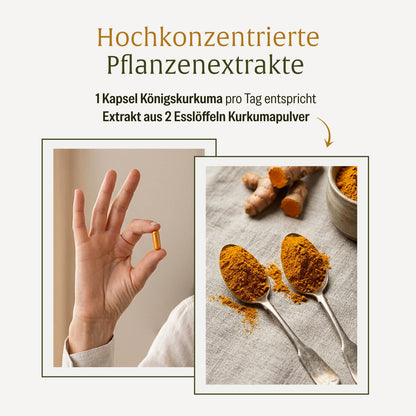 Koenigskurkuma Curcuma Komplex Onlineshop Warum