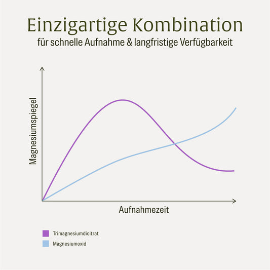 Grafik: Einzigartige Kombination verschiedener Magnesiumformen für eine schnelle Aufnahme und langfristige Verfügbarkeit