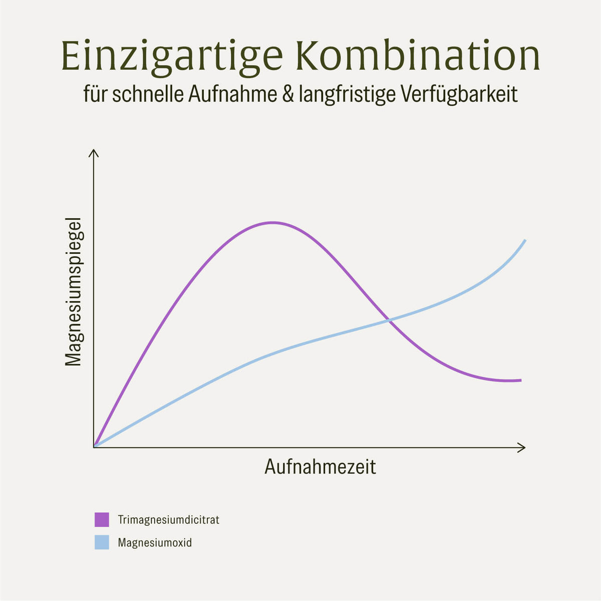 Grafik: Einzigartige Kombination verschiedener Magnesiumformen für eine schnelle Aufnahme und langfristige Verfügbarkeit 