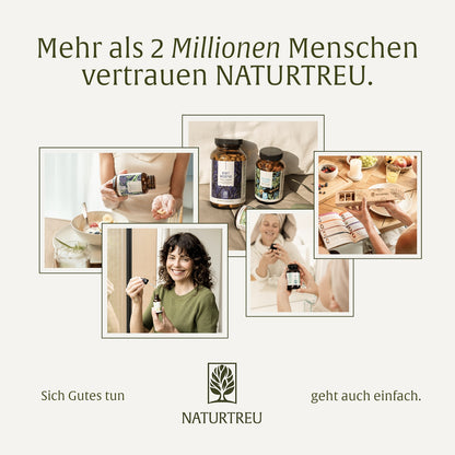 Kraftzwerge Sparpaket: Algenknirps & Sonnenknirps