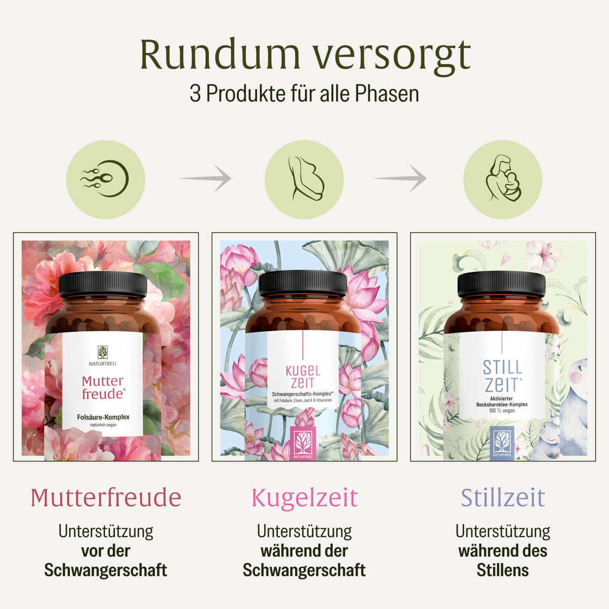 Kugelzeit Schwangerschafts-Komplex Rundum-versorgt
