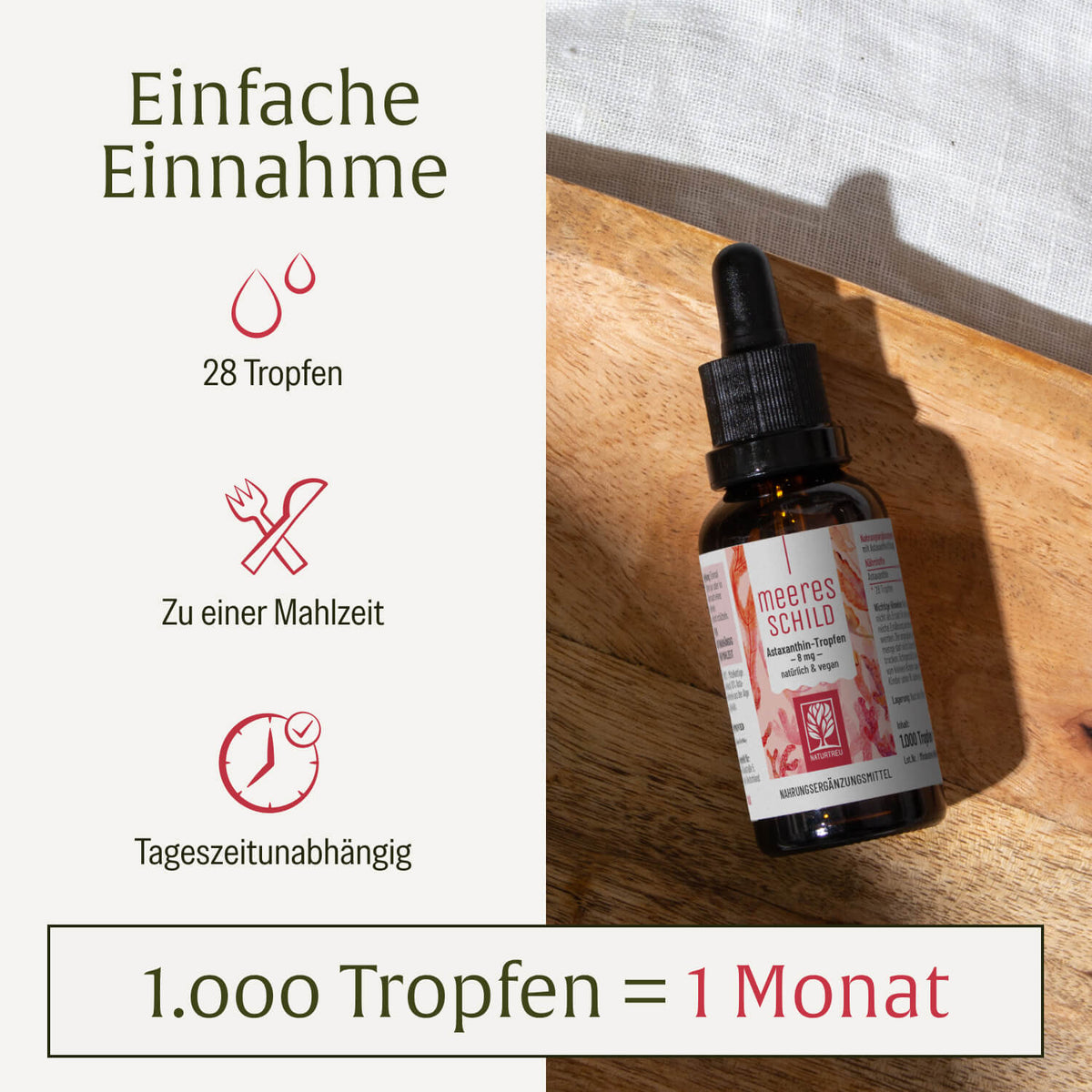 MESC Meeresschild Creatives Einnahme