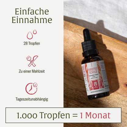 MESC Meeresschild Creatives Einnahme