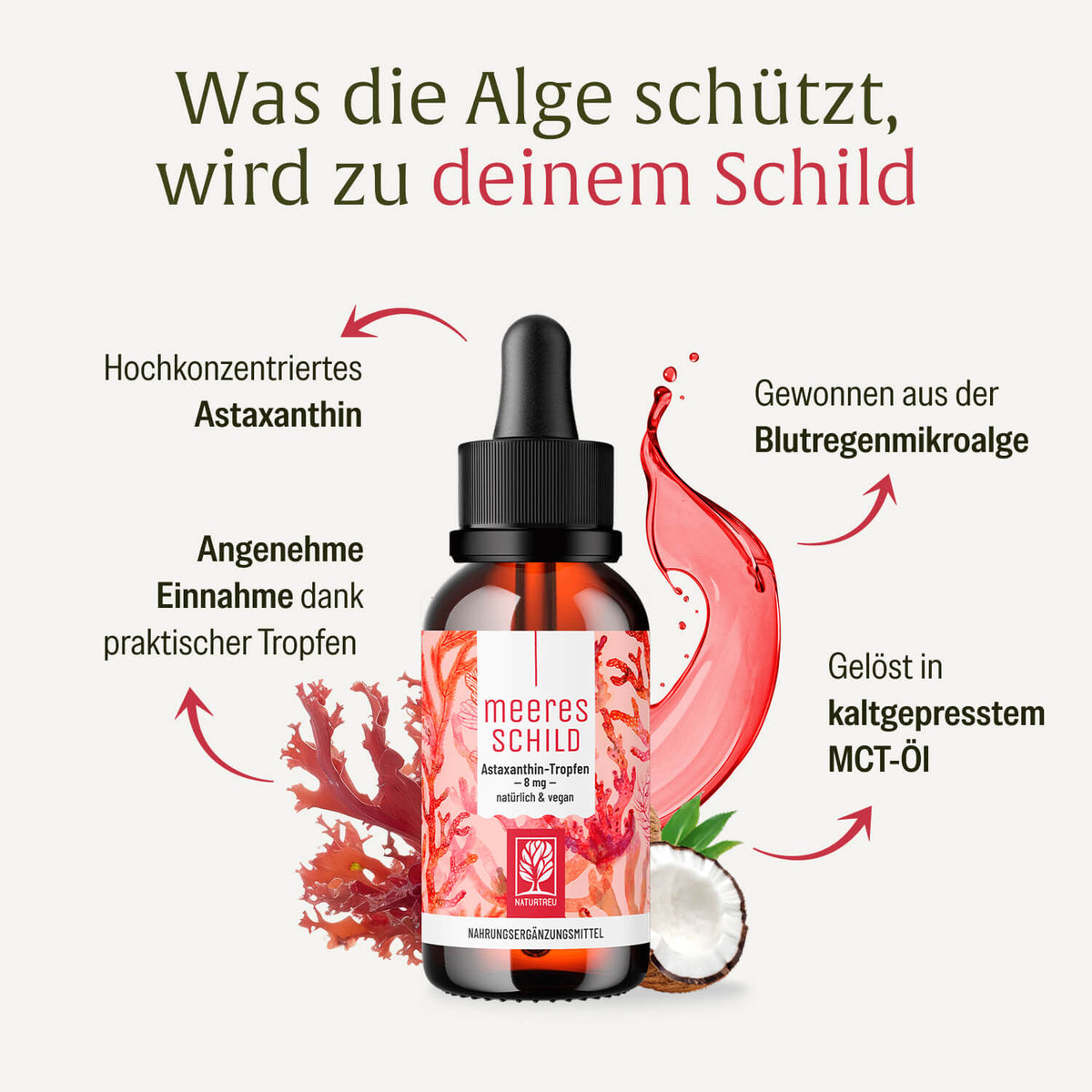 MESC Meeresschild Creatives DE Onlineshop Inhaltsstoffe