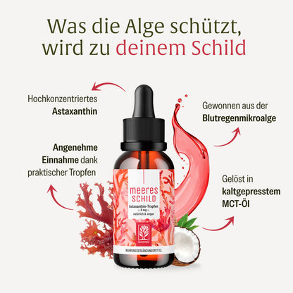 MESC Meeresschild Creatives DE Onlineshop Inhaltsstoffe