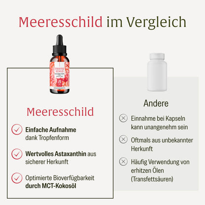 MESC Meeresschild Creatives Vergleich