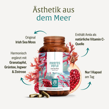 Meeresperle Irish sea Moss Inhaltsstoffe